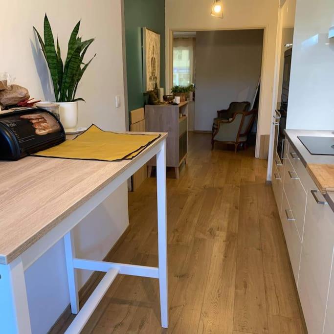 Appartement Le 17 纳博讷 外观 照片